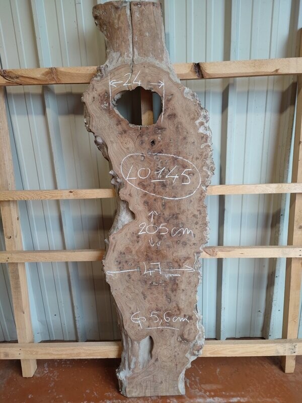 Plateau de loupe d'orme live edge - LO145