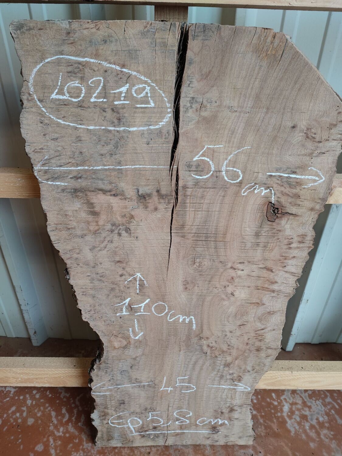 Plateau planche bois brut loupe d'orme - LO219