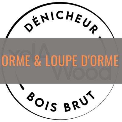 Orme & Loupe d'orme +200cm
