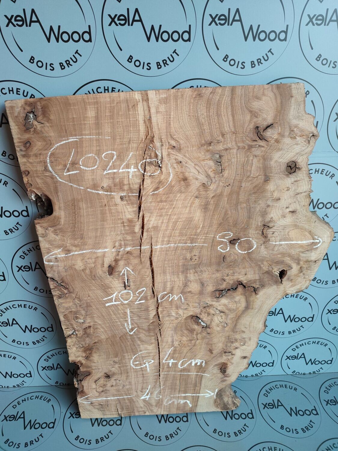 Loupe d'orme français