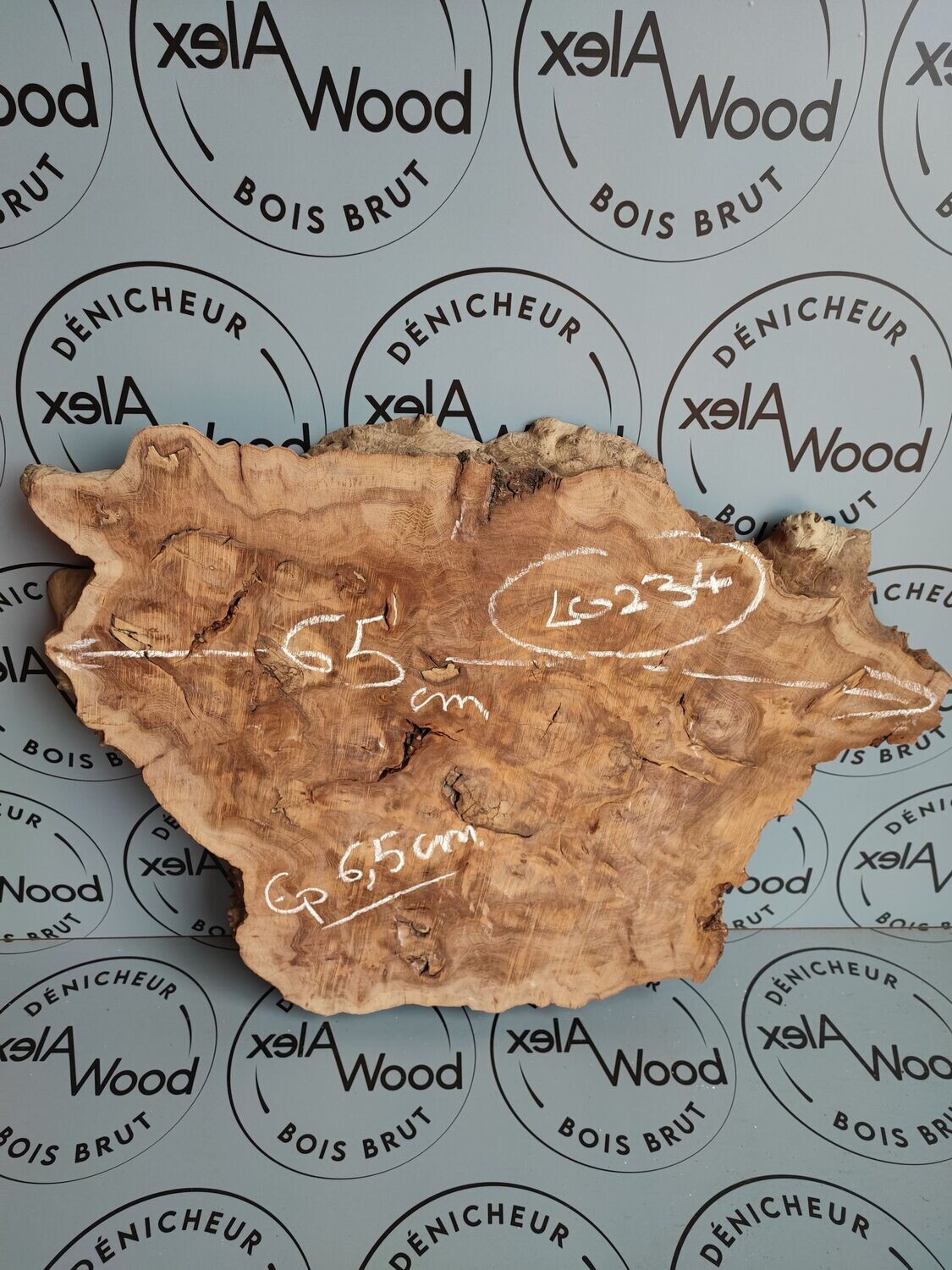 Disque de loupe d'orme