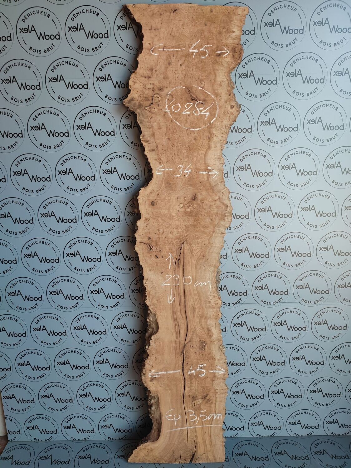 Plateau loupe d'orme français