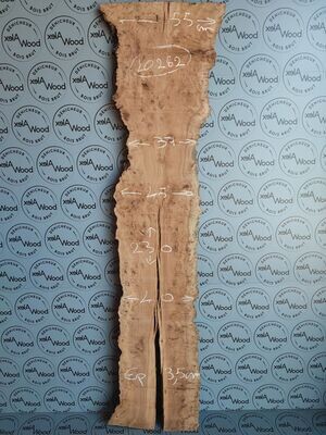 Plateau planche loupe d'orme bois brut