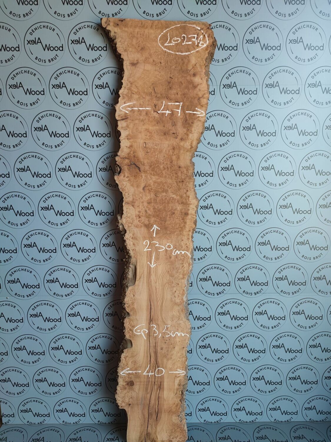 Plateau planche loupe d'orme bois brut