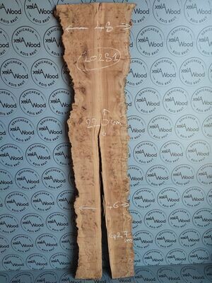 Plateau planche loupe d'orme bois brut