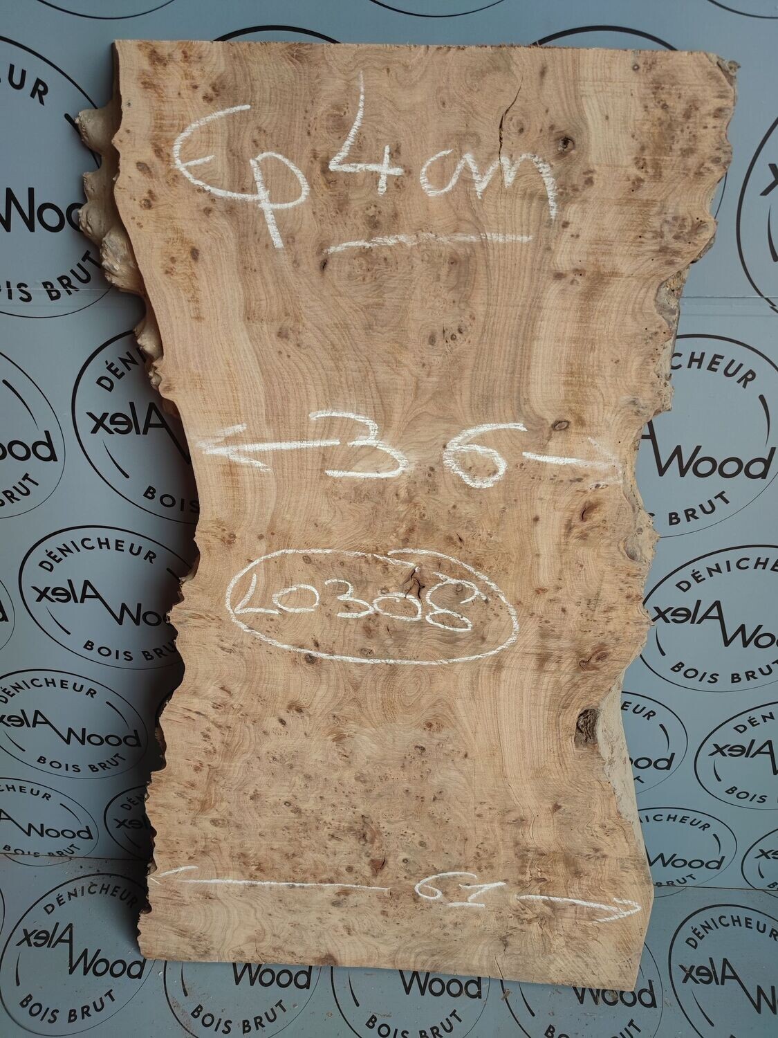 Plateau de loupe d'orme