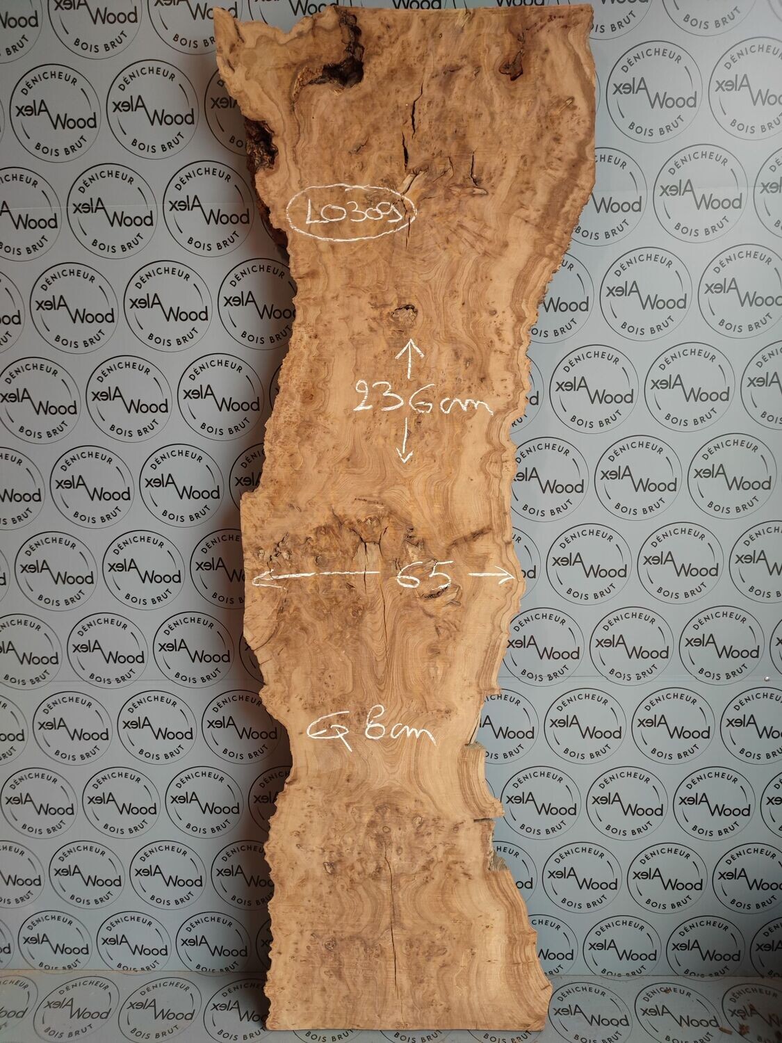 Rare plateau épais et large de loupe d'orme - LO309