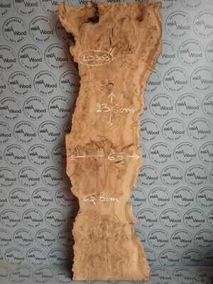 Rare plateau épais et large de loupe d'orme - LO309