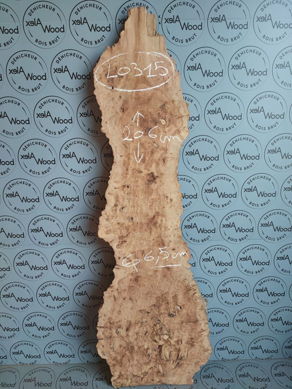 Plateau bois brut de loupe d'orme français - LO315