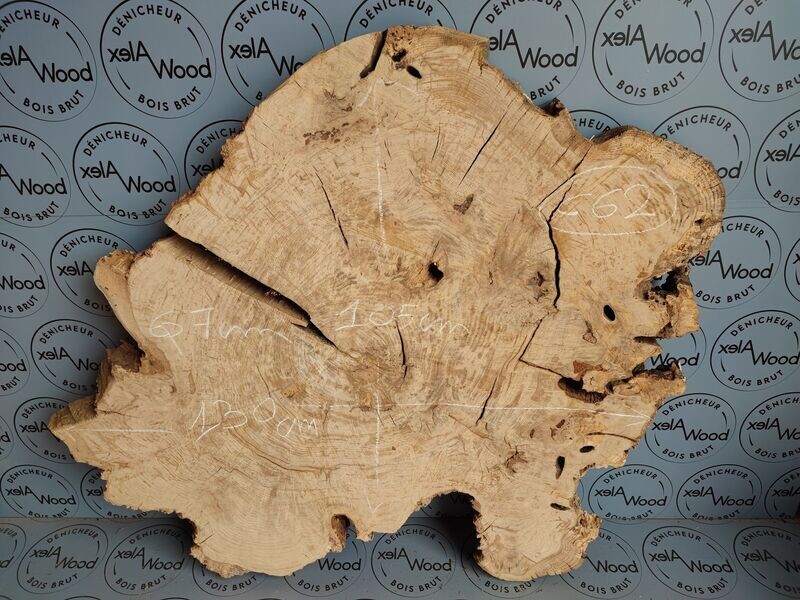 Plateau rondelle de chêne bois brut - C62