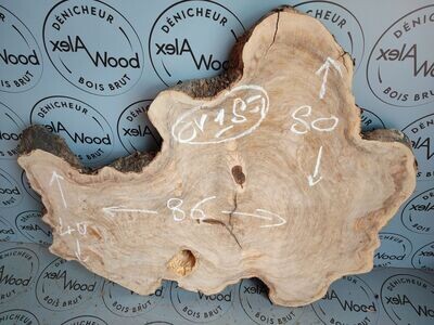 Disque bois d'olivier live edge idéal table basse - OV187