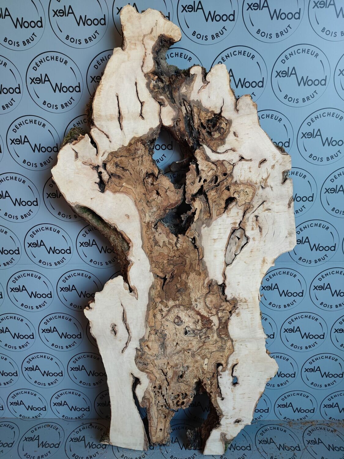Plateau de loupe de charme idéal table rivière résine époxy - LC4
