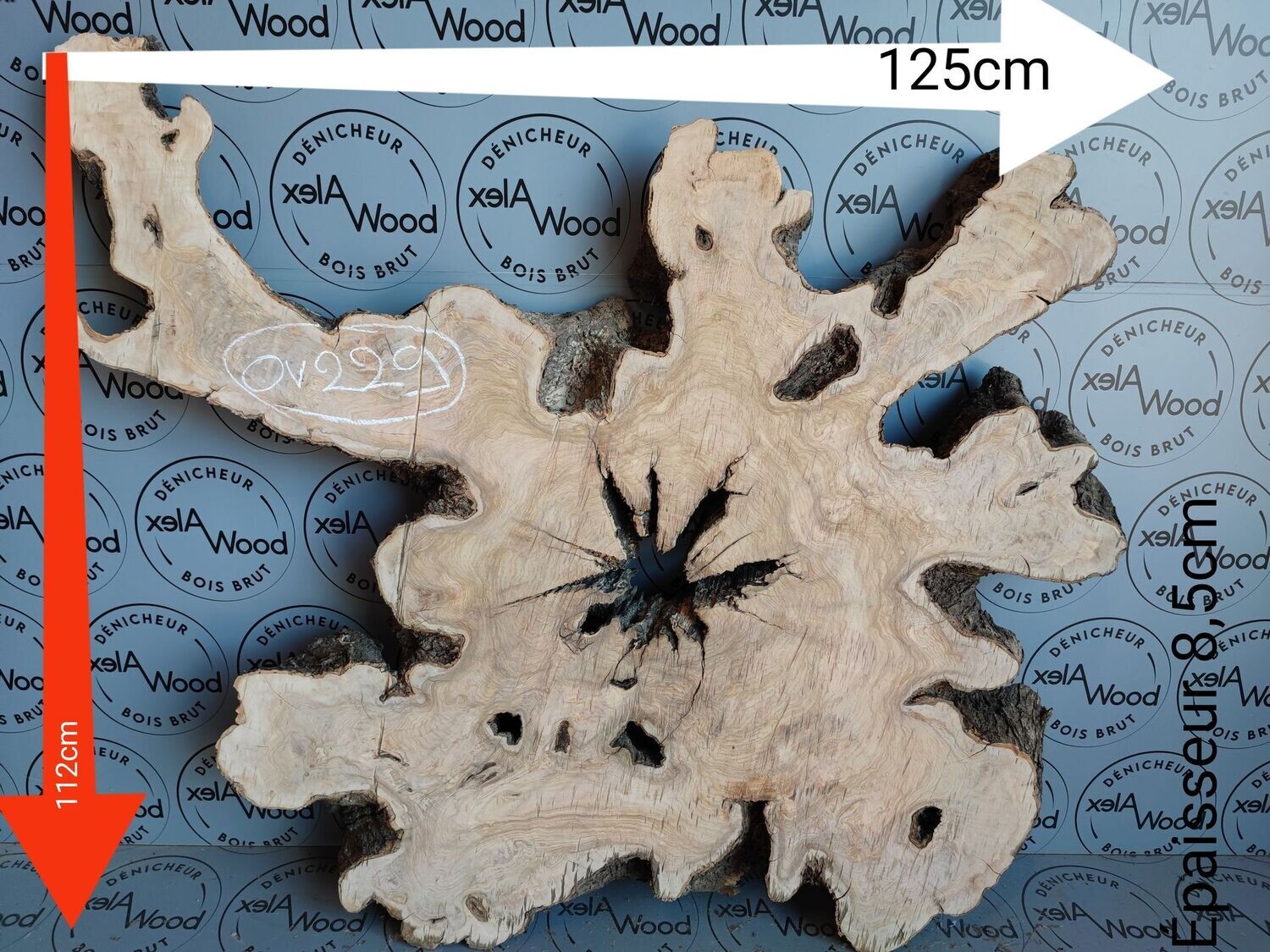 Plateau racine de bois d'olivier live edge - OV229