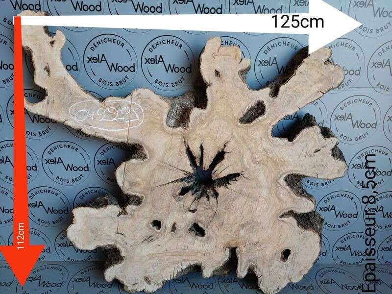 Plateau racine de bois d'olivier live edge - OV229