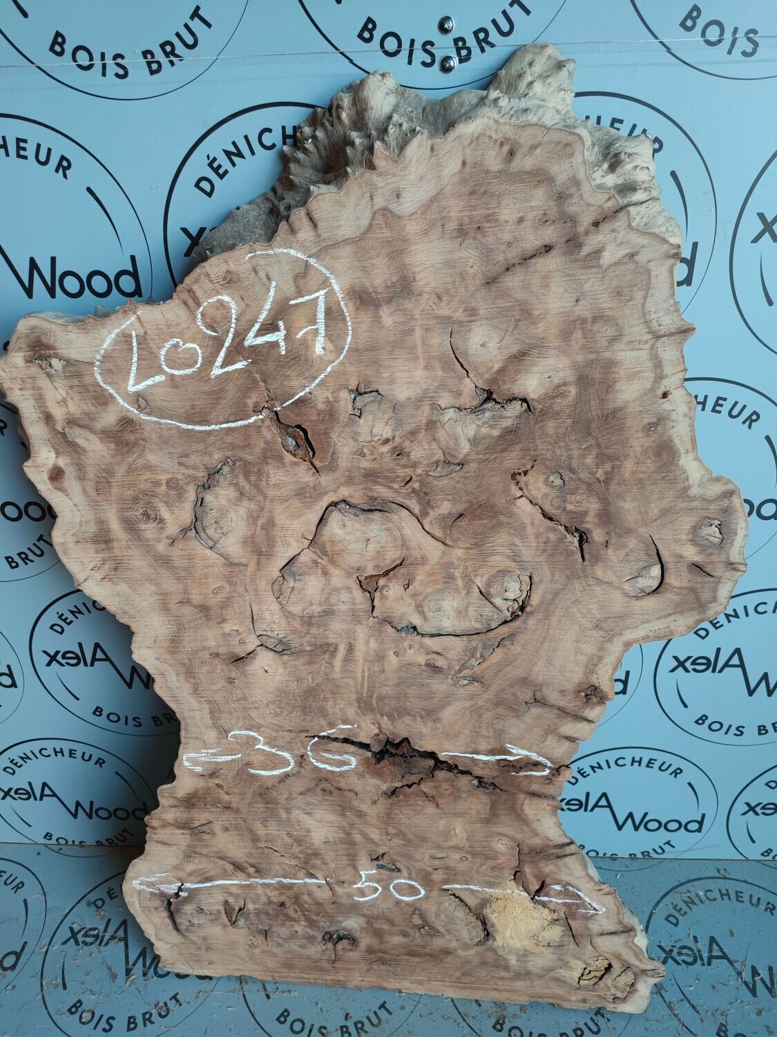 Rondelle bois brut de loupe d'orme - LO247.