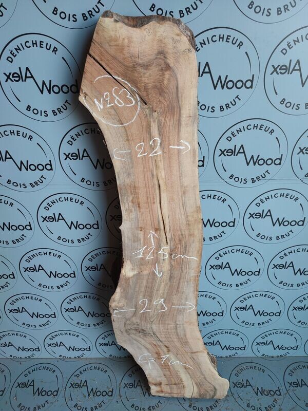 Plateau de noyer épais live edge - N283