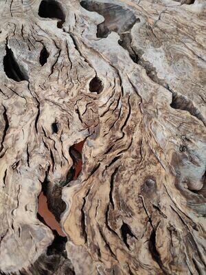 PLATEAUX DE BOIS BRUT