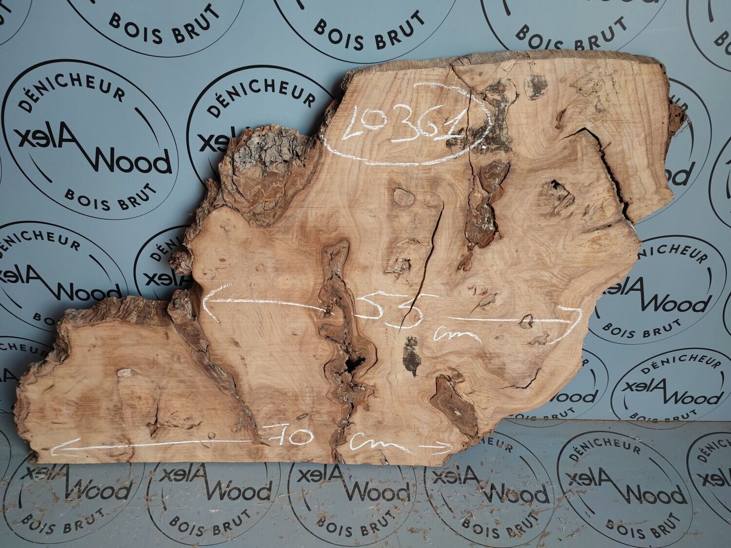 Plateau loupe d'orme très beau veinage - LO361