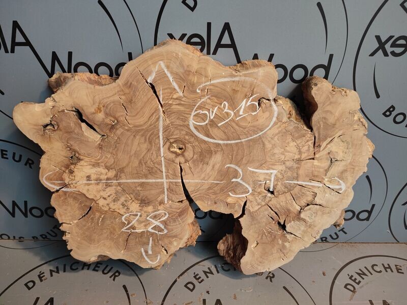 Disque de bois d'olivier idéal table résine époxy