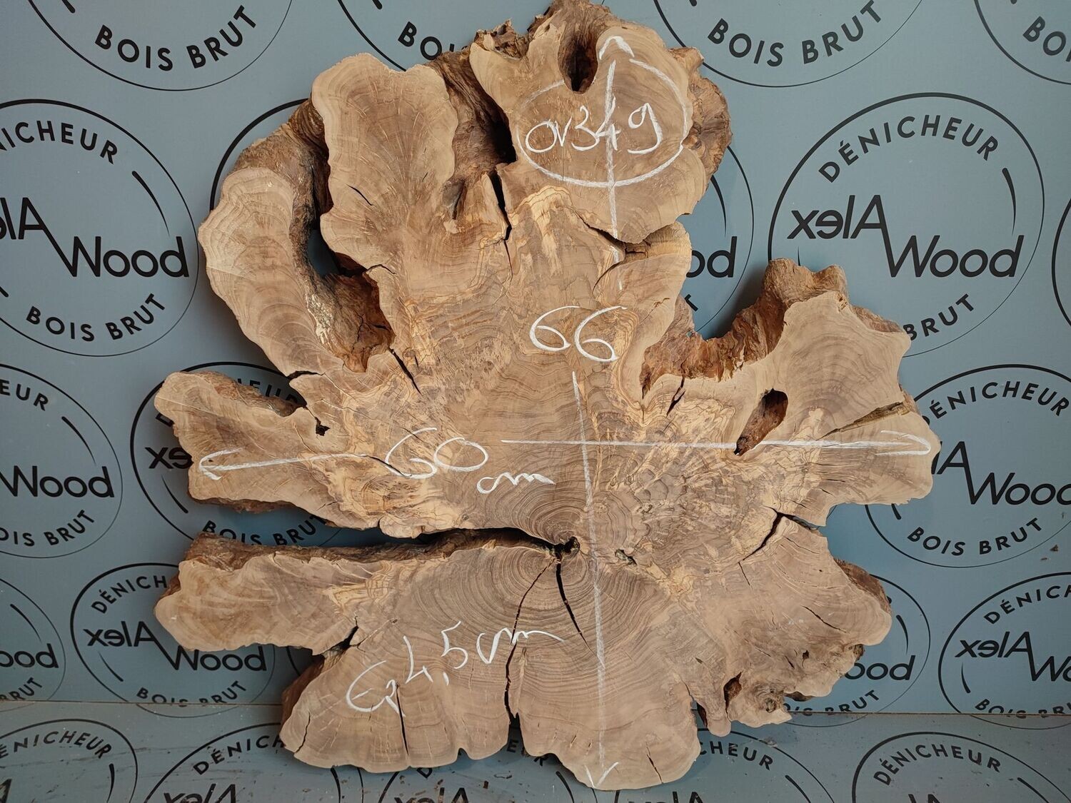 Disque raboté bois d'olivier live edge - OV349