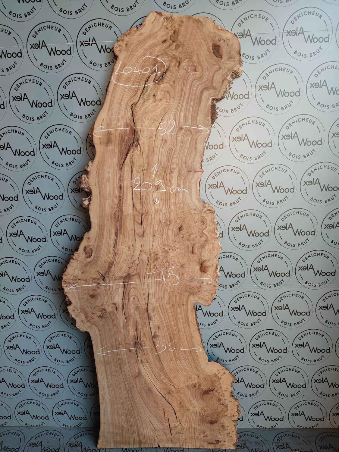 Plateau de loupe d'orme idéal décoration murale - LO401