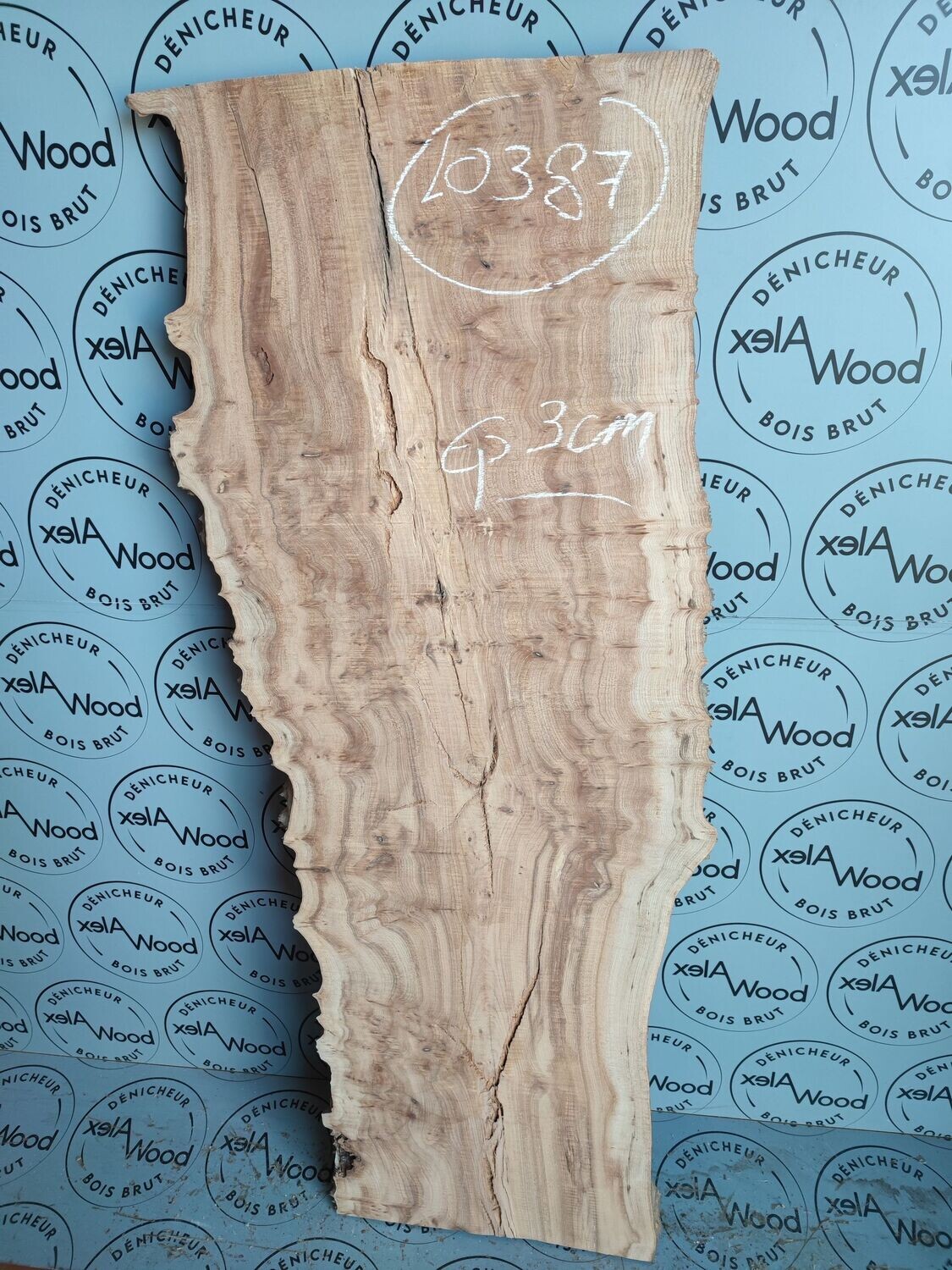 Plateau loupe d'orme bois brut idéal projet résine Ryver Epoxy - LO387