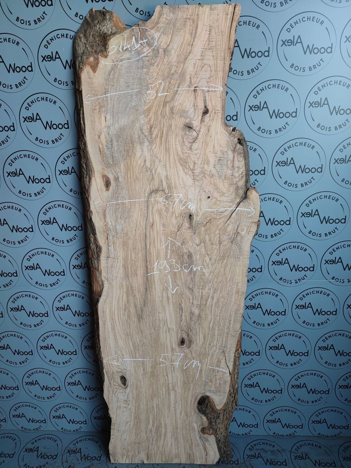 Plateau XXL bois d'olivier brut - OV414