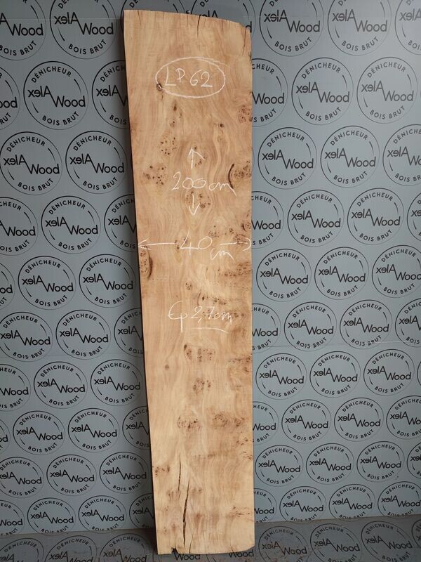 Plateau de loupe de peuplier bois brut - LP62