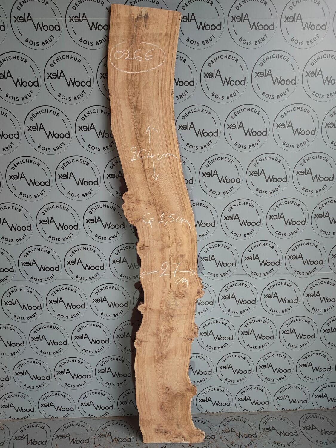 Plateau fin d'orme idéal décoration intérieure - O266