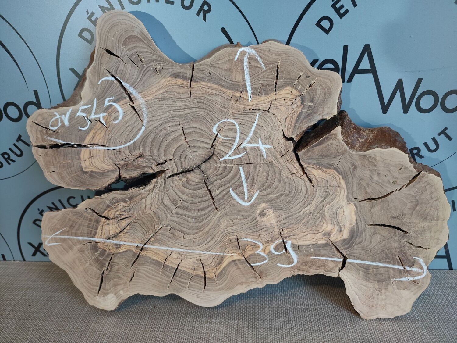 Rondelle bois d'olivier - OV545