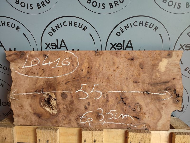 Planche bois brut de loupe d'orme français