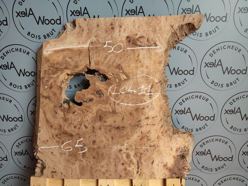 Plateau bois brut de loupe d'orme français - LO411