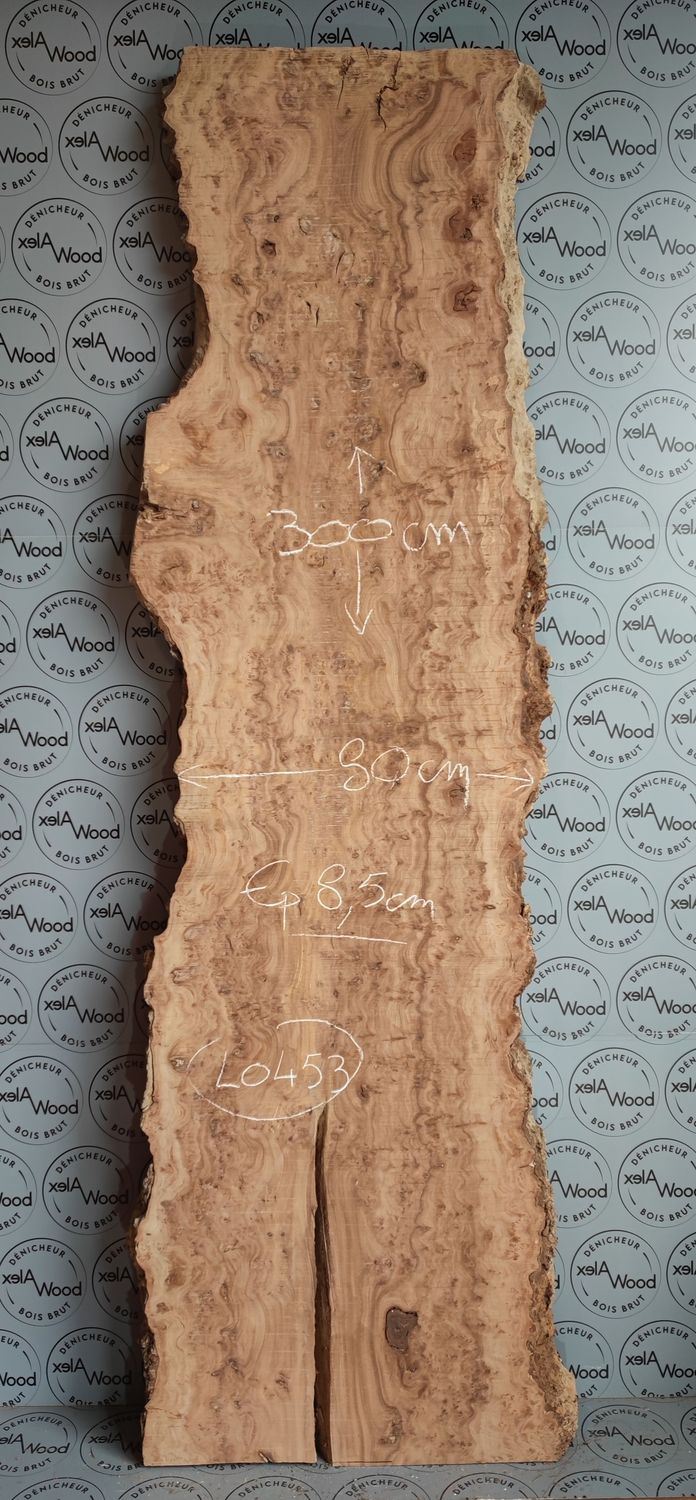 Plateau de bois loupe d'orme brut Plateau bois brut loupe d'orme idéal table résine époxy
