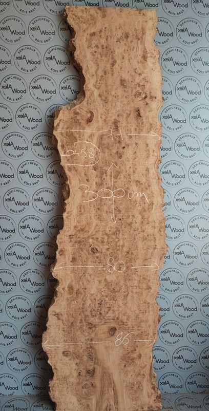 Plateau loupe d'orme bois brut