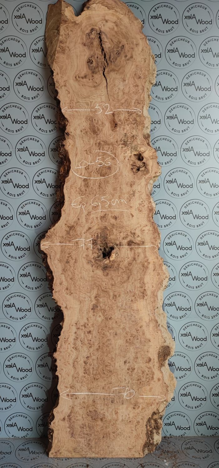 Plateau bois brut loupe d'orme