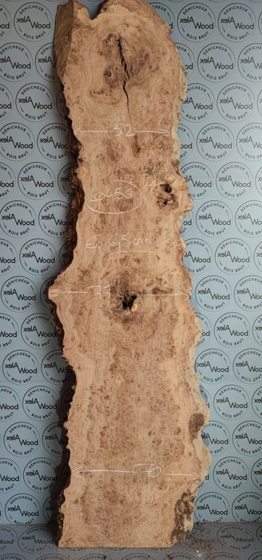 Plateau bois brut loupe d'orme