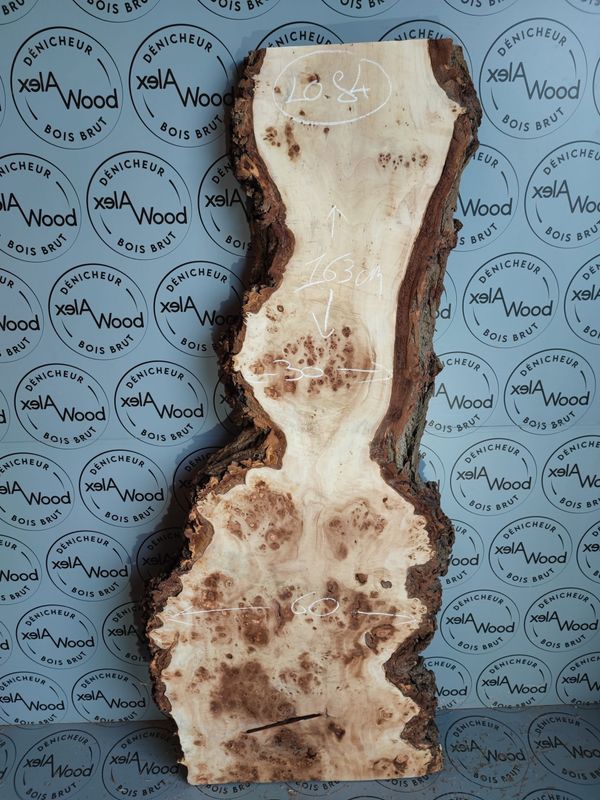 Plateau planche loupe d'orme bois brut