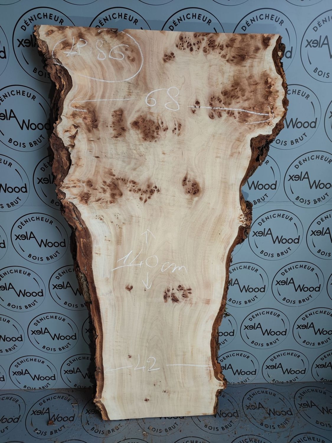 Plateau planche loupe d'orme bois brut