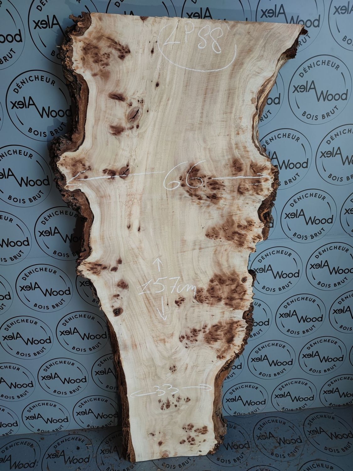 Plateau planche loupe d'orme bois brut