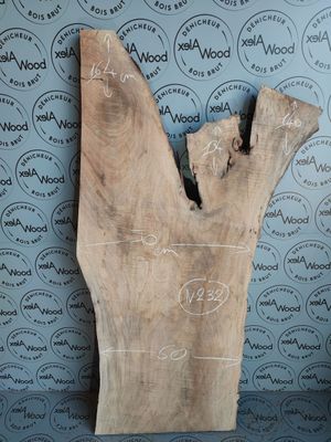 Bois brut Plateau fourche de noyer - N232
