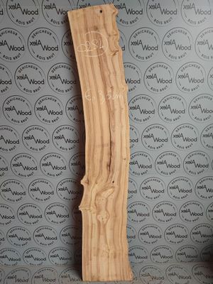 Plateau d'orme français bois brut - O284