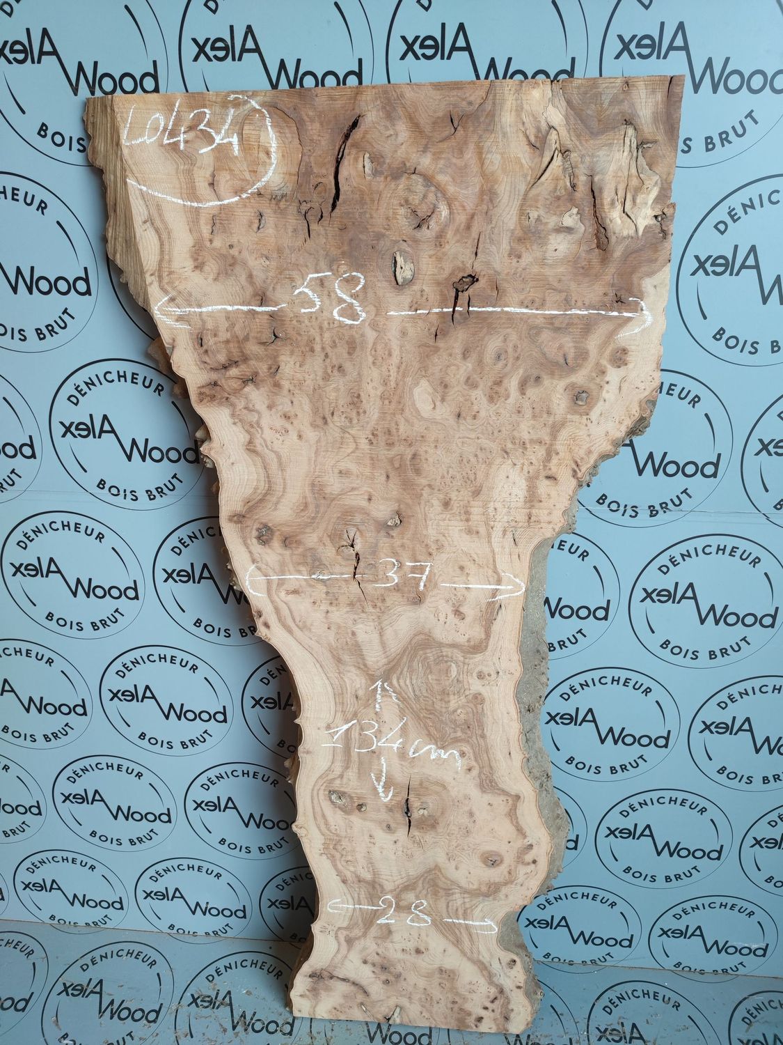 Plateau bois brut loupe d'orme français - LO434