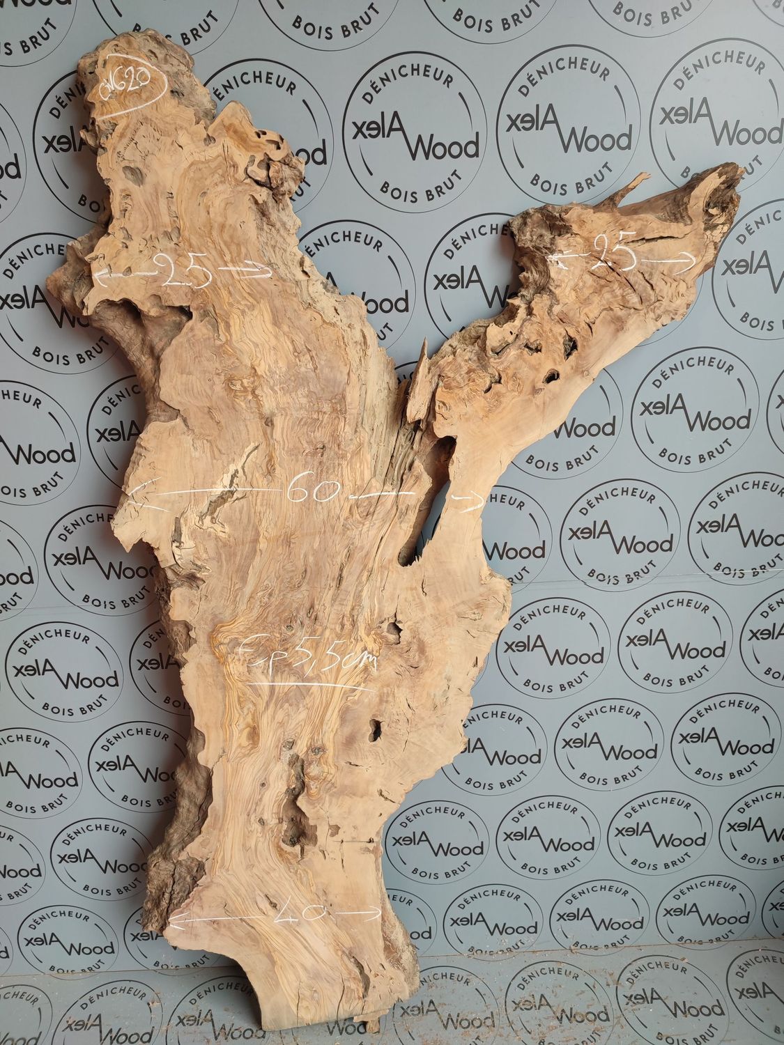 Plateau planche bois d'olivier idéal création bois et résine époxy