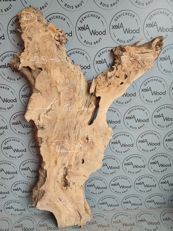 Plateau planche bois d'olivier idéal création bois et résine époxy