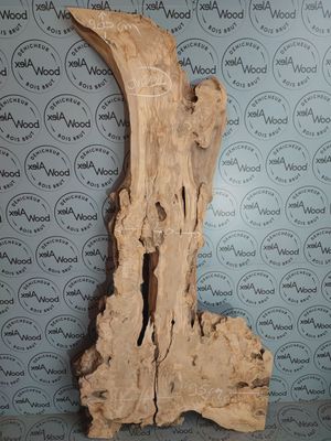 Plateau planche bois d'olivier idéal création bois et résine époxy