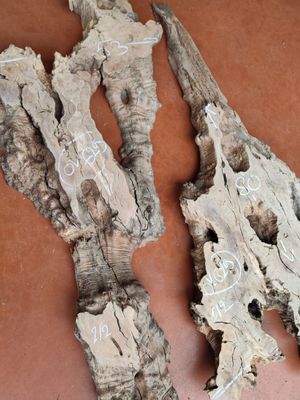Plateau planche bois d'olivier idéal création bois et résine époxy