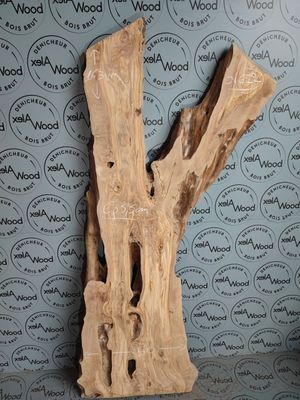 Plateau planche bois d'olivier idéal création bois et résine époxy