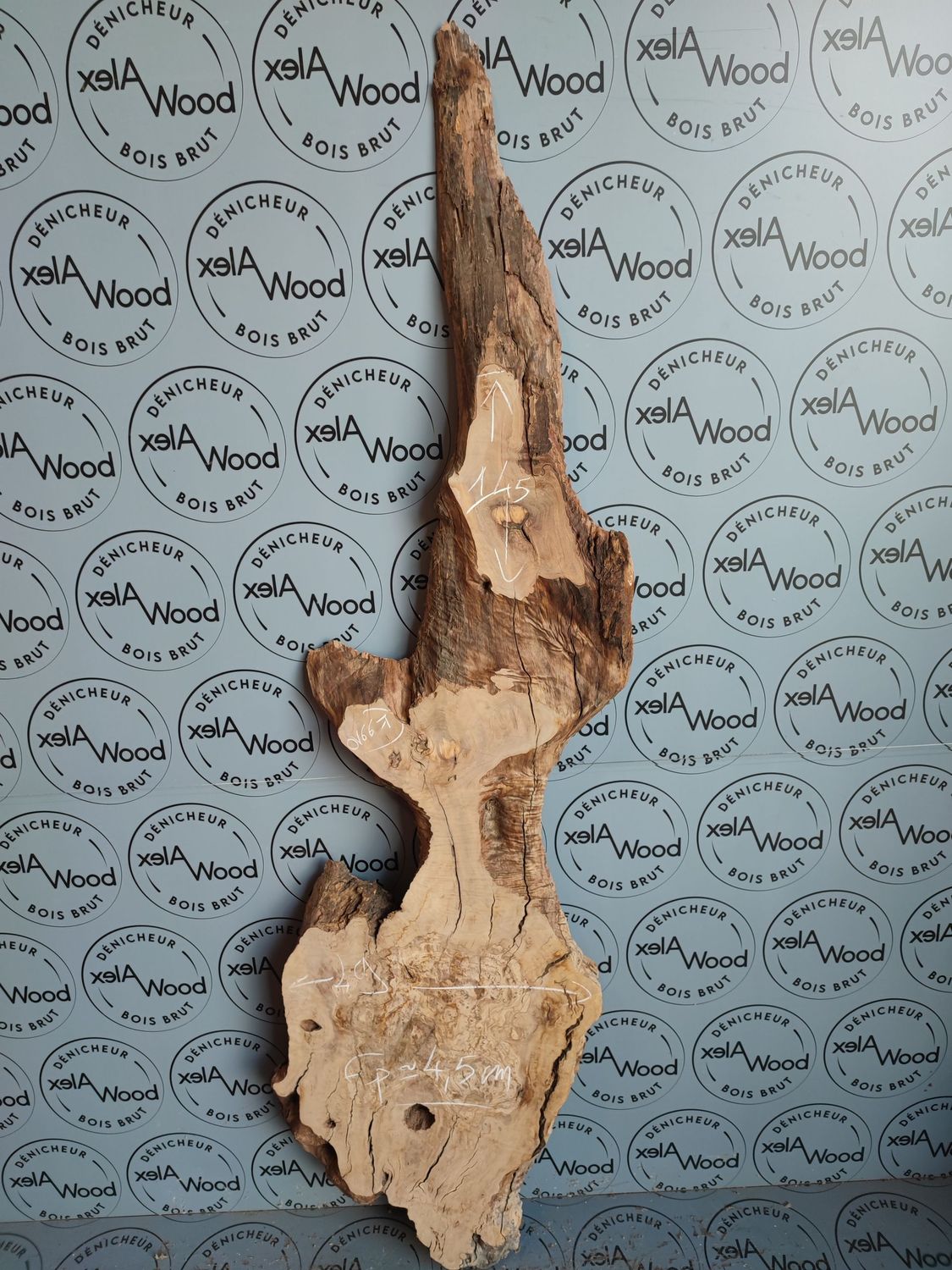 Plateau bois d'olivier - OV667