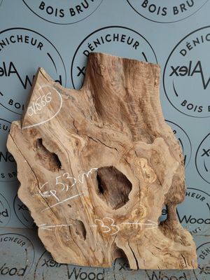 Petit plateau d'olivier - OV666