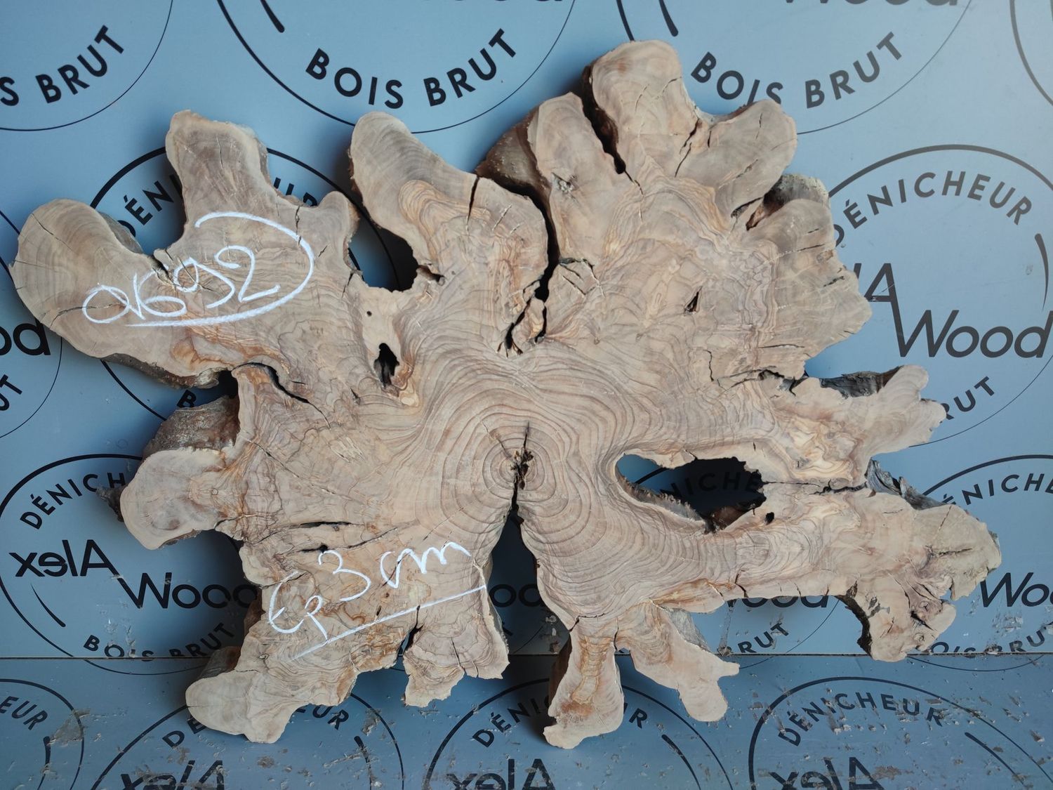 Cookie de bois d'olivier idéal table résine époxy - OV692
